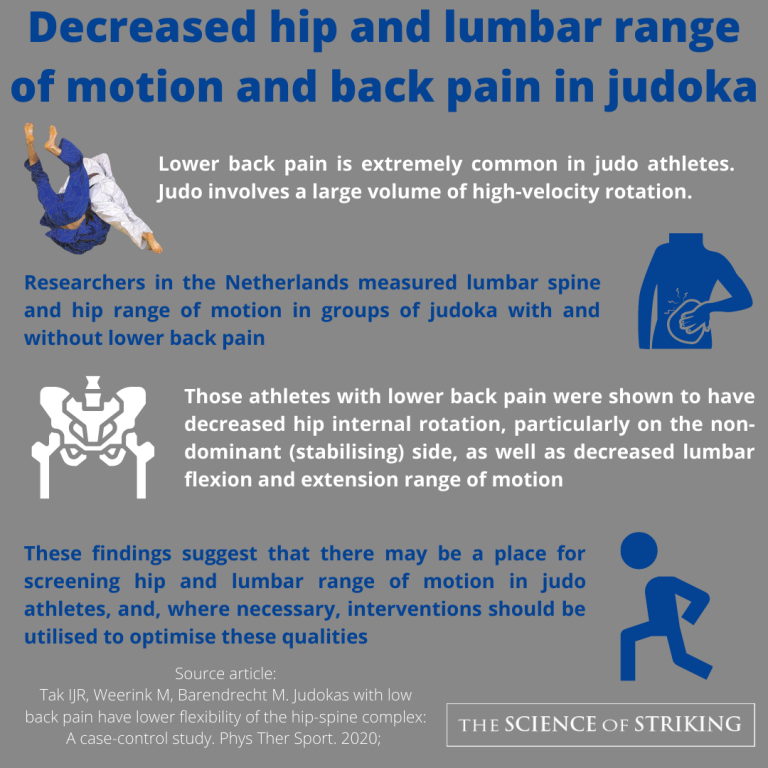 BRIEF REVIEW Hip & Lumbar Range of Motion and Lower Back Pain The